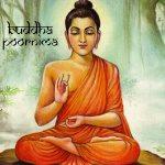 Budha Jayanti